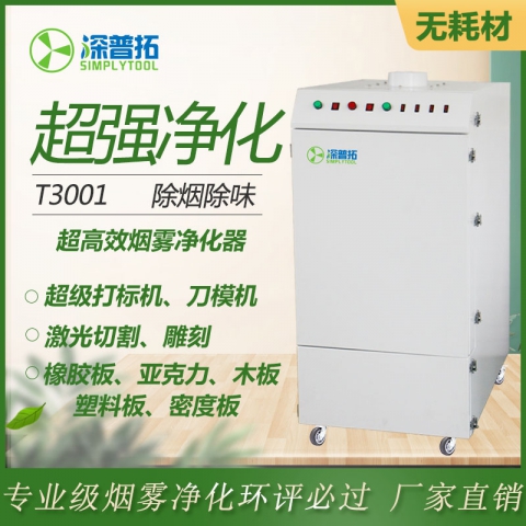 T3001